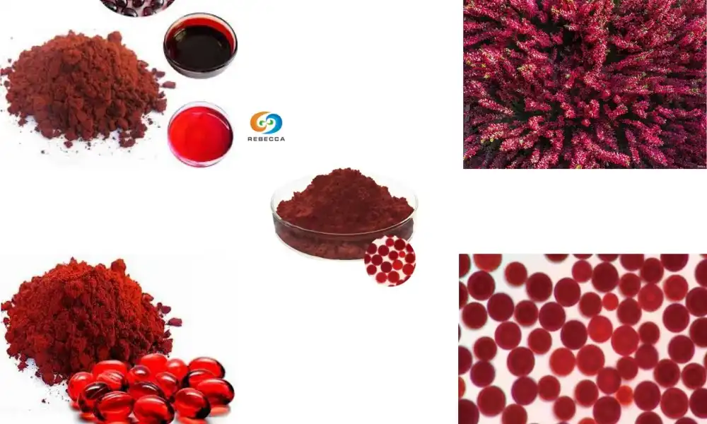 Is Haematococcus Powder Truly Vegan-Friendly and Natural?